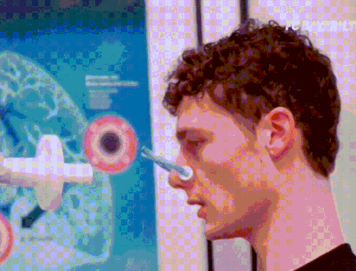 IMG 6548.gif