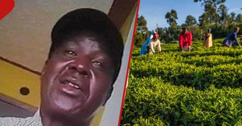 5872442220957252632?url=https%3A%2F%2Fcdn.tuko.co.ke%2Fimages%2F1200x675%2Fe087d2e6f43cebb1.jpeg%3Fv.jpg