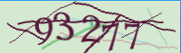 captcha.png
