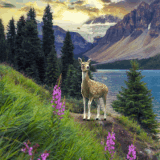 pmAAgJjW57D2Q Aq HLrP3at1iXGevbcgl469YBmxkccjXAClk4gwhrAI2OVKYUa.gif