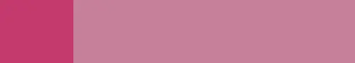 Fuschia Rose.webp