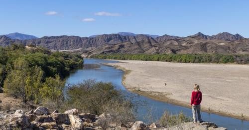 8510592798648078430?url=https%3A%2F%2Fwww.tichyseinblick.de%2Fwp content%2Fuploads%2F2024%2F07%2F400.jpg