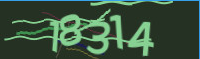 captcha.png