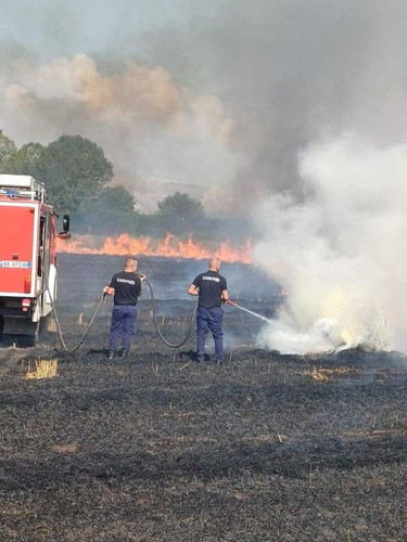 451086036 910407124433430 5225643870895368818 n.jpg?stp=dst jpg p526x296& nc cat=105&ccb=1 7& nc sid.jpg