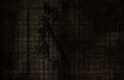 nisanforum Arkaplan (32).jpg