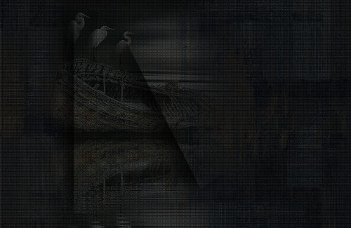 nisanforum Arkaplan (40).jpg