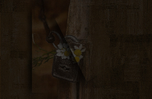 nisanforum Arkaplan (27).jpg