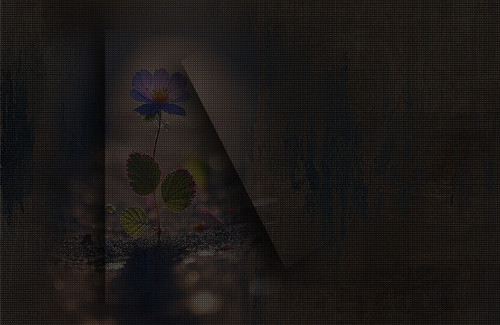 nisanforum Arkaplan (26).jpg