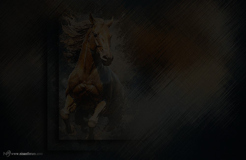 at arkapaln faroz (4).jpg