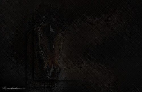 at arkapaln faroz (14).jpg