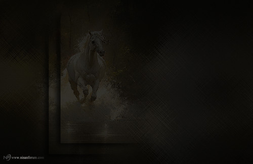 at arkapaln faroz (8).jpg