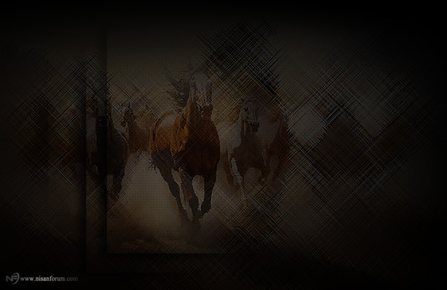 at arkapaln faroz (6).jpg