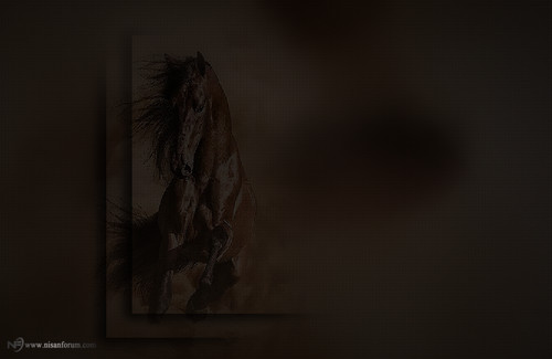 at arkapaln faroz (10).jpg