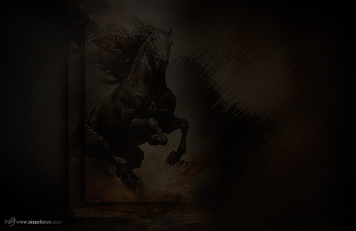 at arkapaln faroz (2).jpg