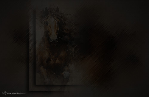 at arkapaln faroz (3).jpg