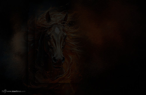 at arkapaln faroz (1).jpg