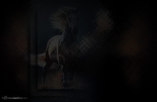 at arkapaln faroz (5).jpg