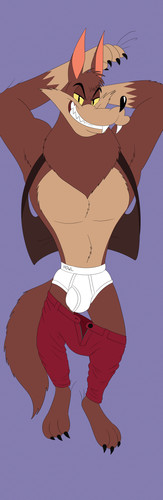 hankfrontflatv1.jpg
