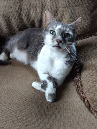 1721030441447.jpg