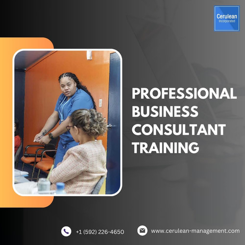 Professional Business Consultant Training.jpg