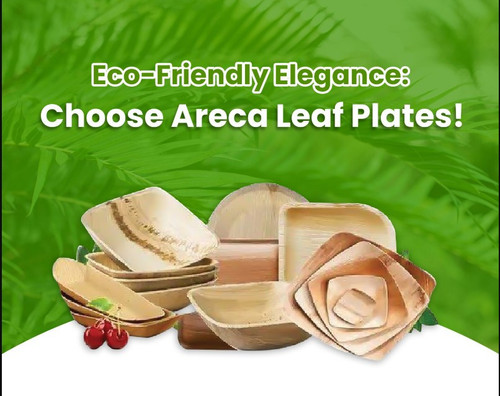 top Sustainable Manufacturer in India.jpg
