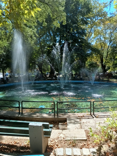 IMG 20240715 113223834 HDR.jpg