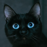 QQ截图20240715165424.png