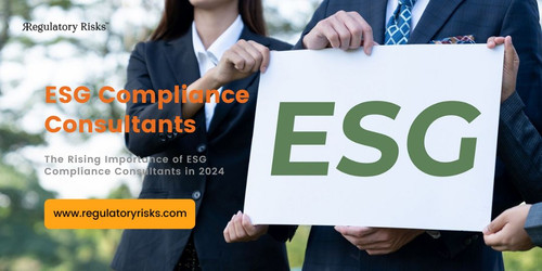 The Rising Importance of ESG Compliance Consultants in 2024.jpg