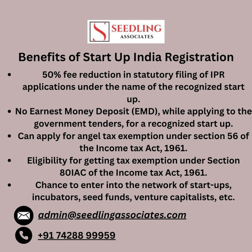 Startup Company Registration Services.jpg