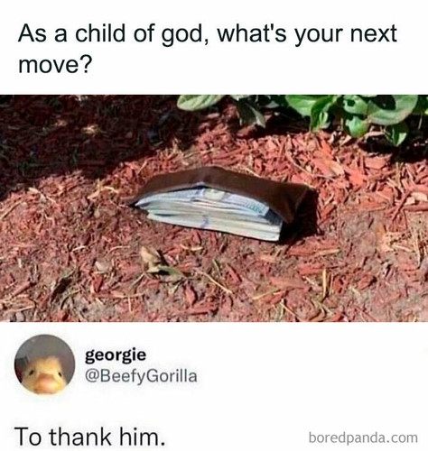 441077578 816053063890962 2430820764531170849 n.jpg