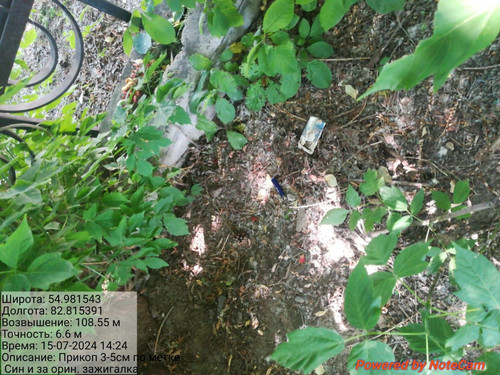 IMG 20240715 WA0030.jpg