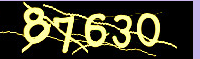 captcha.png