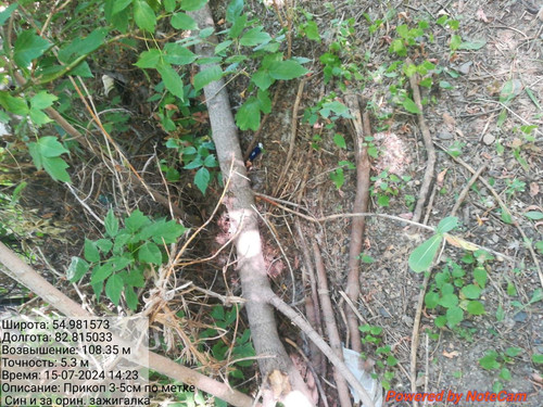 IMG 20240715 WA0040.jpg