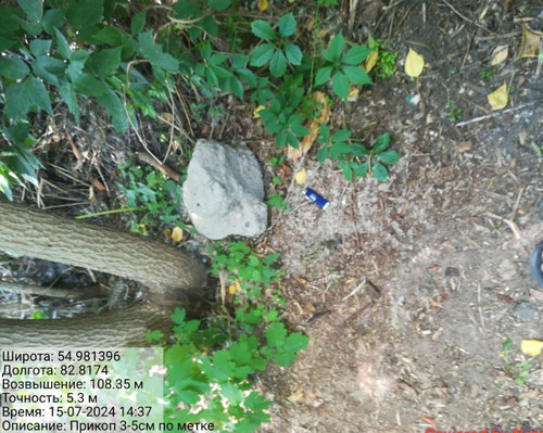 IMG 20240715 WA0041 1.jpg