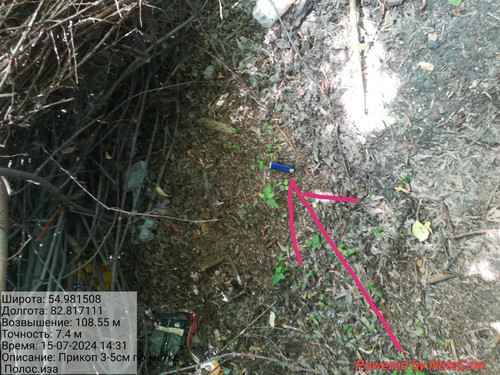 IMG 20240715 WA0042.jpg