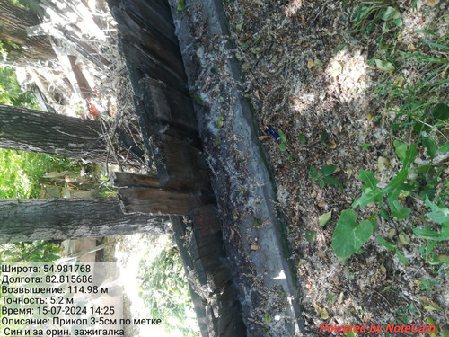IMG 20240715 WA0029.jpg