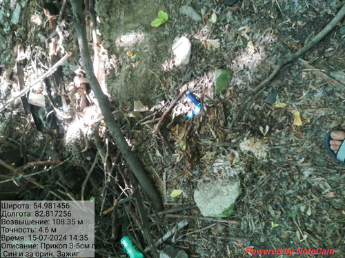 IMG 20240715 WA0031.jpg