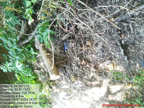 IMG 20240715 WA0028.jpg