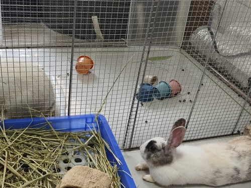 IMG 20240716 163016.jpg