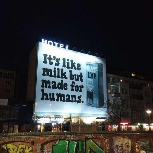 450233944 922389009919345 2726973894319199007 n.jpg?stp=dst jpg p526x296& nc cat=104&ccb=1 7& nc sid.jpg