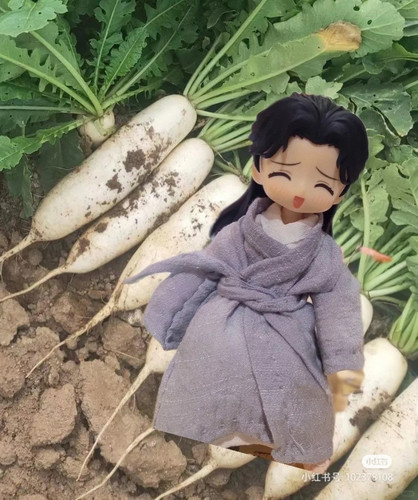 只有一颗萝卜 胡来小分队 来自小红书网页版.jpg