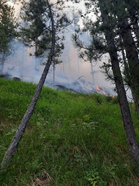 451225676 1136574541156980 2218173062155200016 n.jpg?stp=dst jpg s600x600& nc cat=101&ccb=1 7& nc si.jpg