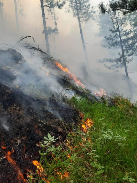 451576854 1136574554490312 4946739235580266381 n.jpg?stp=dst jpg s600x600& nc cat=108&ccb=1 7& nc si.jpg