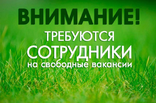 UuNh8 HS4CJwgYDjFF78fgxPNNXGZ9Add9OPEhQkPLvOU J cZ cG2gWgOFFC0cZbSaikHhhKg0XEpdSuNQX5NpJbaWSA1xlgsTA.jpg