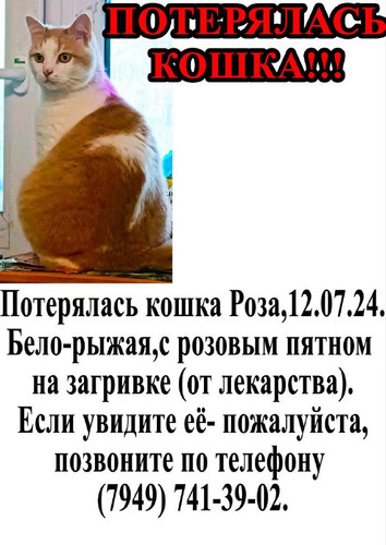 LFvVt6Q70hFJg7FKrympqq SbKrPGsjf6L wv3PiYsgsUwLXo6hOPMpeQBKD907UZMsc5GFqtwOYc4FFUufN2lfzIvkEn25BrQQE.jpg