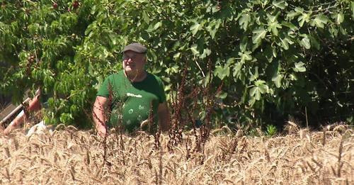 451477401 1159469991838121 8920426176175571566 n.jpg?stp=c0.5x0.5f dst jpg flffffff p500x261 q75& nc.jpg