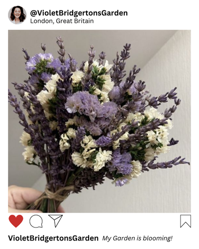 Mykonos, Greece(5).png