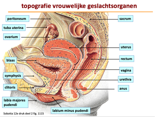 20044f639610.png