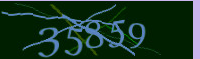 captcha.png
