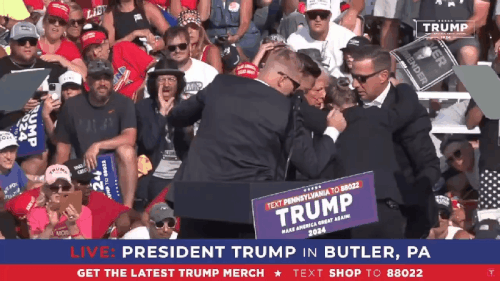 Media 240714 105126.gif